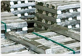 Crofton Conservatory Centre - Aluminium